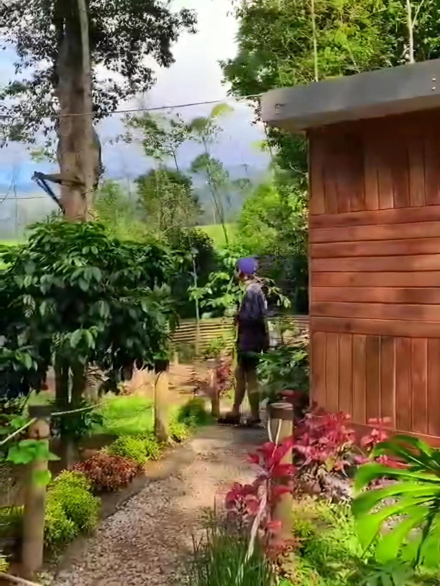 מלון Pangalengan Penginapan Nuansa Riung Gunung מראה חיצוני תמונה
