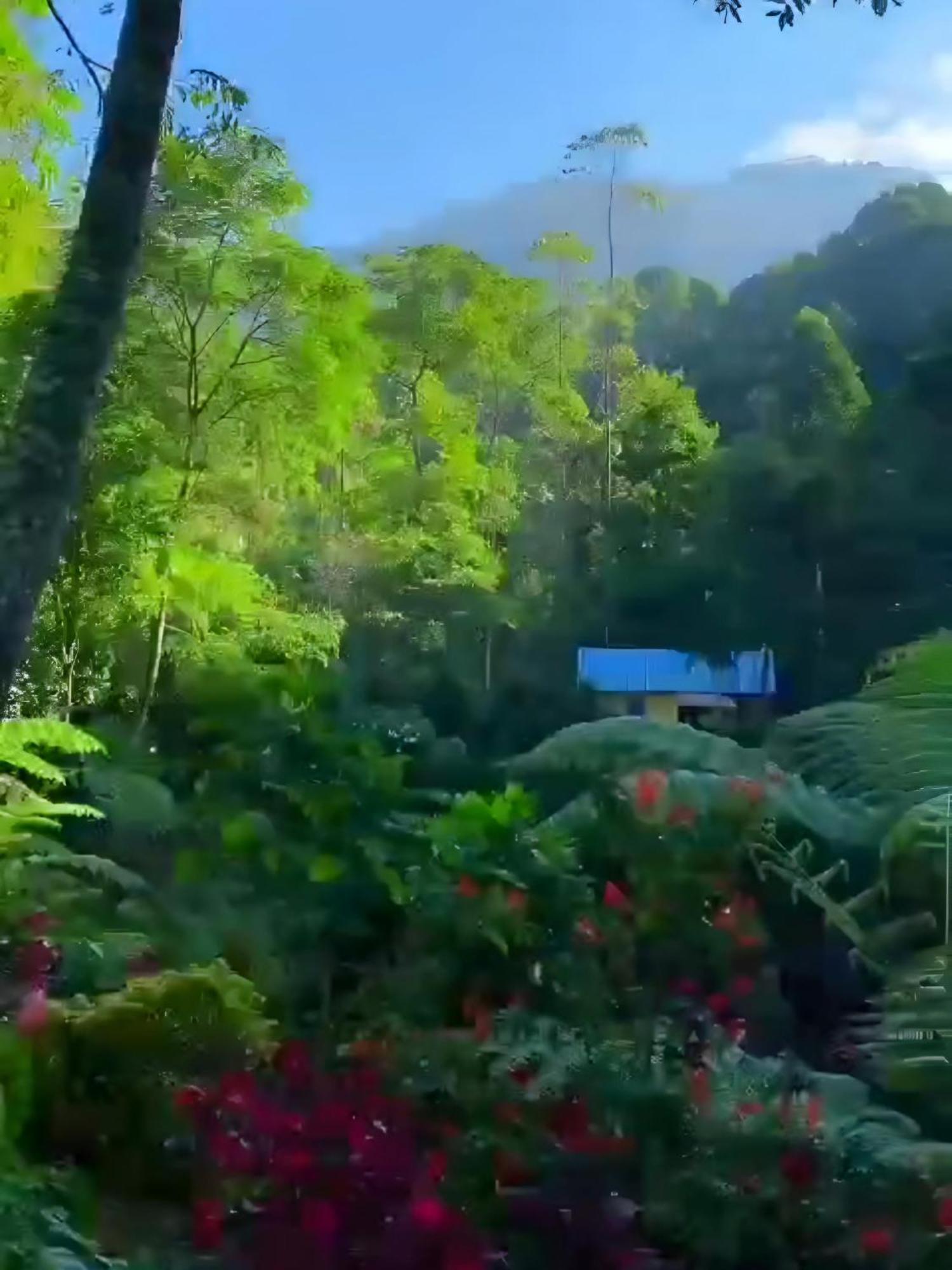 מלון Pangalengan Penginapan Nuansa Riung Gunung מראה חיצוני תמונה